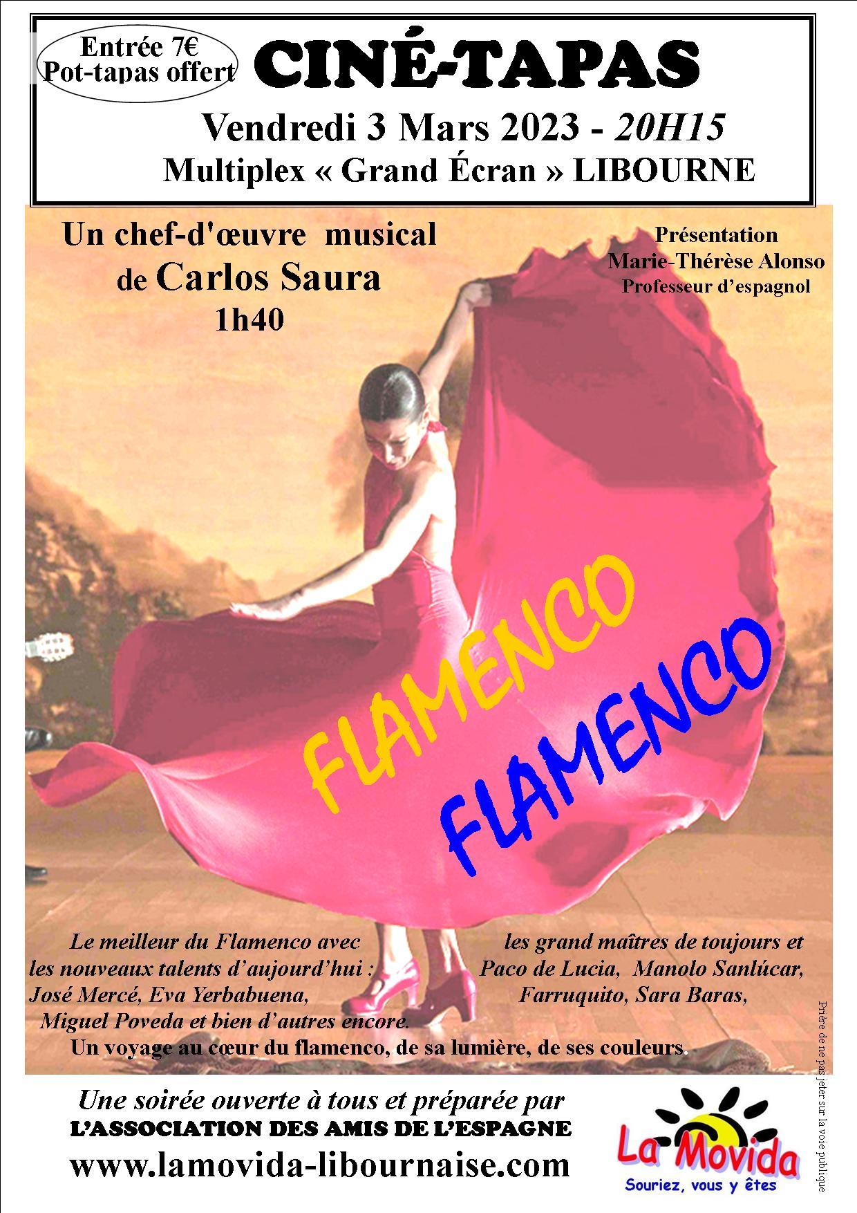 Affiche flamenco flamenco 2024